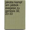 Jakobs Kampf Am Jabbok - Exegese Zu Genesis 32, 23-33 door D. Rte Schabsky