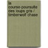 La Course-poursuite Des Loups Gris / Timberwolf Chase