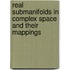 Real Submanifolds In Complex Space And Their Mappings