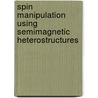 Spin Manipulation Using Semimagnetic Heterostructures door Taras Slobodskyy