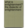 What Is Enlightenment? The Dialectic Of Enlightenment door Kristian Klett