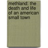 Methland: The Death And Life Of An American Small Town by Nick Reding