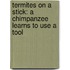 Termites On A Stick: A Chimpanzee Learns To Use A Tool