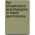 The Ultrastructure And Phylogeny Of Insect Spermatozoa