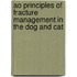 Ao Principles Of Fracture Management In The Dog And Cat