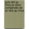 Guia Del Qu Mico Pr Ctico Compendio De An Lisis Qu Mica door Ram N. Torres Mu Oz y. Luna