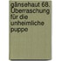 Gänsehaut 68. Überraschung für die unheimliche Puppe