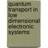 Quantum Transport In Low Dimensional Electronic Systems door Hsuan-Yeh Chang
