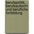 Berufspolitik, Berufsaufsicht und berufliche Fortbildung