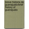 Breve Historia De Guanajuato/brief History of Guanajuato by Monica Blanco