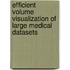 Efficient Volume Visualization Of Large Medical Datasets