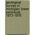 Geological Survey Of Michigan; Lower Peninsula 1873-1876