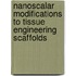 Nanoscalar Modifications To Tissue Engineering Scaffolds