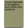 Visual Diagnosis In Emergency And Critical Care Medicine door Christopher P. Holstege