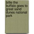 Billie The Buffalo Goes To Great Sand Dunes National Park