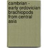 Cambrian - Early Ordovician Brachiopods from Central Asia