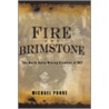 Fire And Brimstone: The North Butte Mine Disaster Of 1917 by Michael Punke
