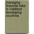 Managing Financial Risks In Indebted Developing Countries