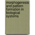 Morphogenesis And Pattern Formation In Biological Systems