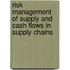 Risk Management Of Supply And Cash Flows In Supply Chains