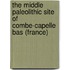 The Middle Paleolithic Site of Combe-Capelle Bas (France)