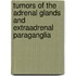 Tumors of the Adrenal Glands and Extraadrenal Paraganglia
