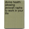 Divine Health: Allowing Jevovah Rapha To Work In Your Life door Gary Parkhurst Md