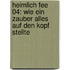 Heimlich Fee 04: Wie ein Zauber alles auf den Kopf stellte
