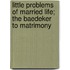 Little Problems Of Married Life; The Baedeker To Matrimony