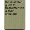 The Illustrated Guide To Freshwater Fish & River Creatures door Daniel Gilpin