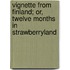 Vignette From Finland; Or, Twelve Months In Strawberryland