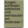 Burgen, Schlösser, Adelssitze und Wehrbauten am Bodensee 1 door Michael Losse