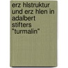 Erz Hlstruktur Und Erz Hlen In Adalbert Stifters "Turmalin" door Sonja Riedel