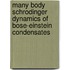 Many Body Schrodinger Dynamics Of Bose-Einstein Condensates