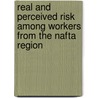Real And Perceived Risk Among Workers From The Nafta Region door Lorena Perez Floriano
