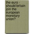The Euro - Should Britain Join The European Monetary Union?