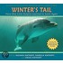 Winter's Tail: How One Little Dolphin Learned To Swim Again