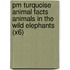 Pm Turquoise Animal Facts Animals In The Wild Elephants (X6)