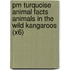 Pm Turquoise Animal Facts Animals In The Wild Kangaroos (X6)