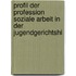Profil Der Profession Soziale Arbeit in Der Jugendgerichtshi