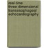 Real-Time Three-Dimensional Transesophageal Echocardiography