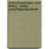 Unterrichtseinheit: Cold Turkey - Andys Zukunftsperspektiven