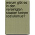 Warum gibt es in den Vereinigten Staaten keinen Sozialismus?