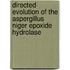 Directed Evolution Of The Aspergillus Niger Epoxide Hydrolase