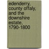 Edenderry, County Offaly, and the Downshire Estate, 1790-1800 door Ciaran Reilly