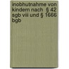 Inobhutnahme Von Kindern Nach  § 42 Sgb Viii Und § 1666 Bgb door Theresa Reckstadt