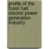 Profile Of The Fossil Fuel Electric Power Generation Industry