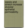 Sepsis And Stretch Increase Alveolar Epithelial Permeability. by Taylor Sitari Cohen