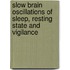 Slow Brain Oscillations Of Sleep, Resting State And Vigilance