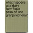 What Happens At A Dairy Farm?/Que Pasa En Una Granja Lechera?